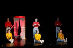 Slavnostna akademija obcine Krsko_foto_Benjamin Kovac-35